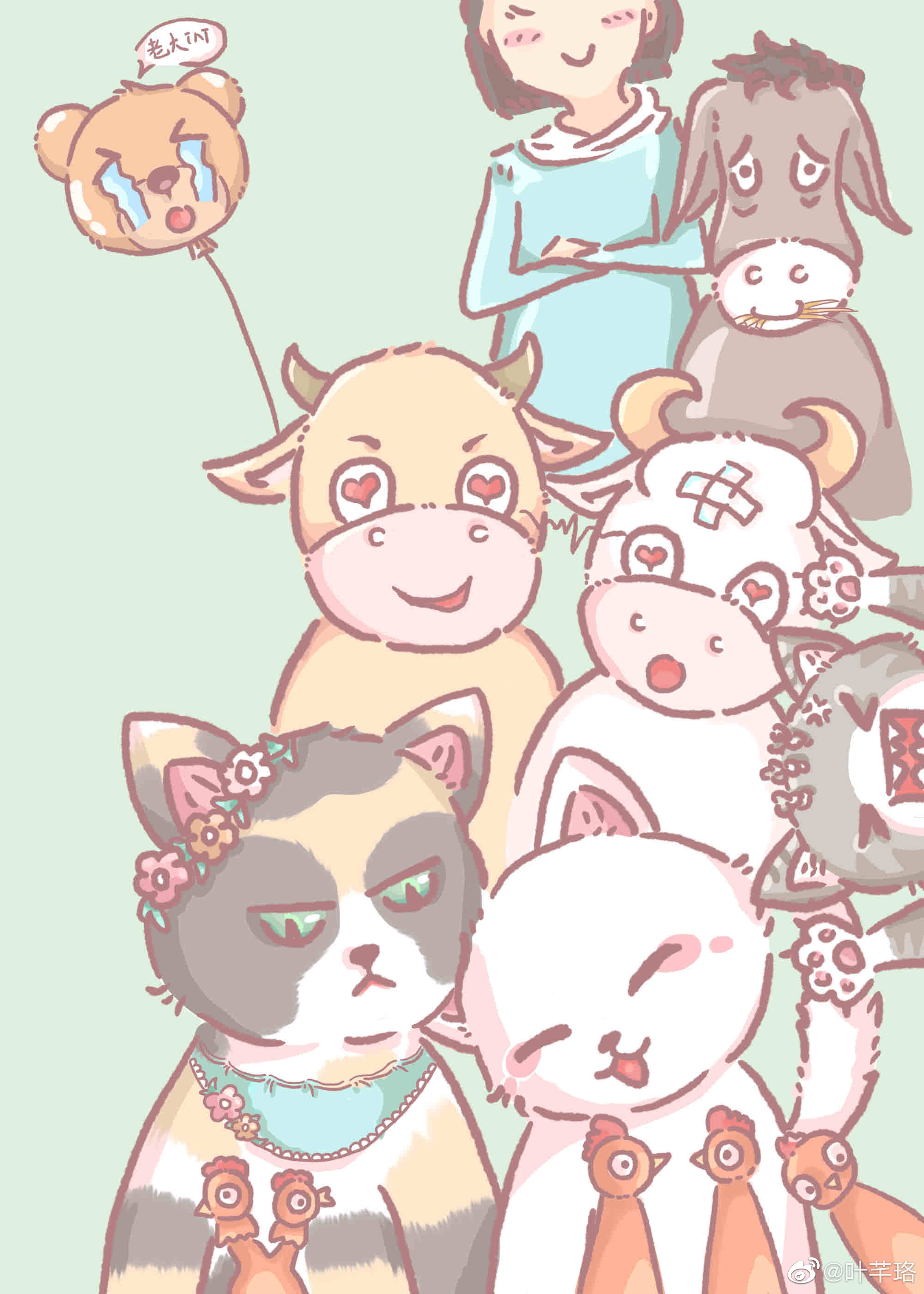 玳瑁猫价位大概多少