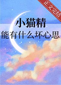 小猫猫精灵