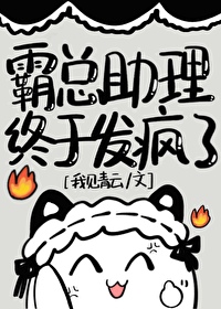 霸道总裁与助理的二三事 小说