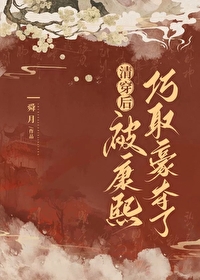 清穿康熙后妃的小说