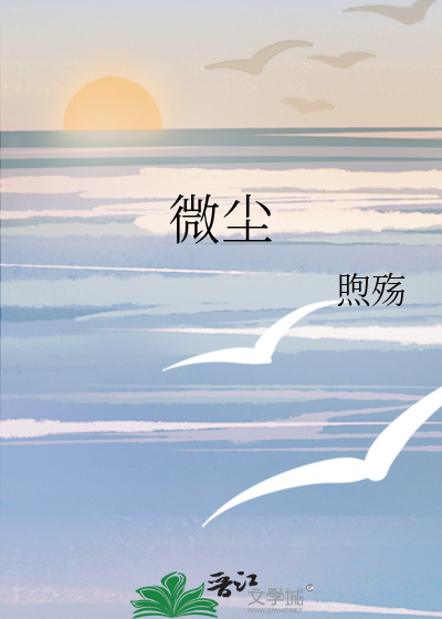 微尘滤清器