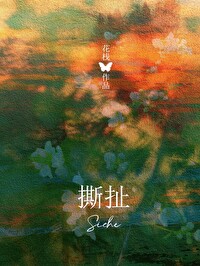 撕扯的意思是什么意思
