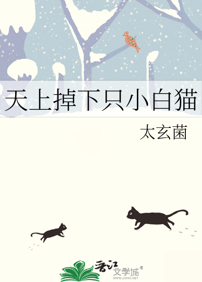 天上掉下个小猫咪