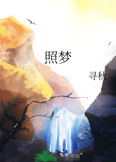 照梦畅游平台