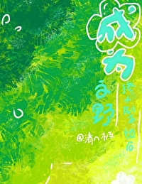 文野众人变成猫的小说