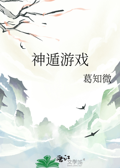 阿神游戏解说