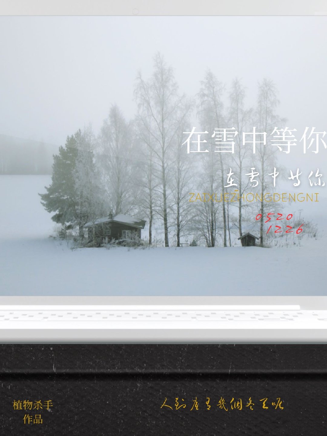 我在冬天等你在雪中等你