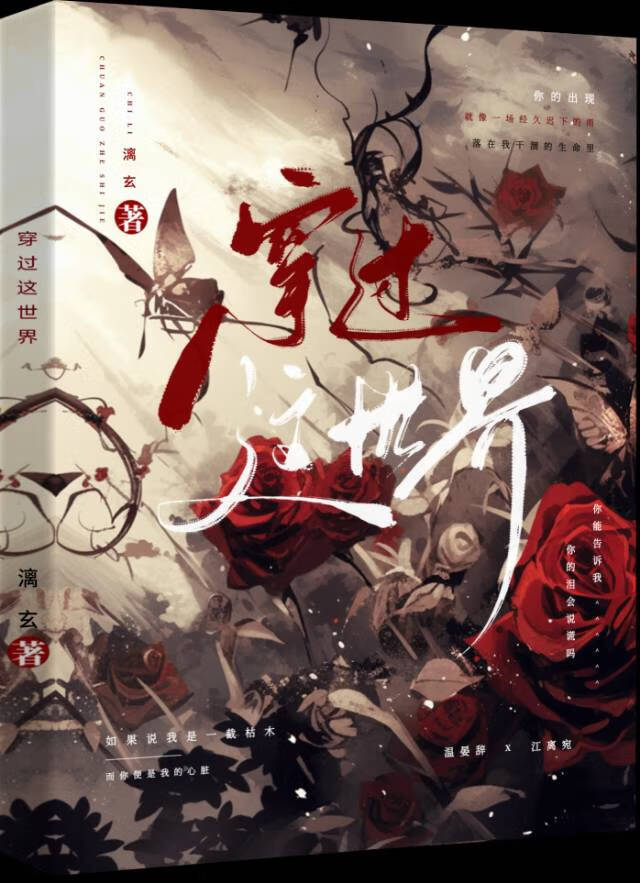 穿过世界的画面什么歌