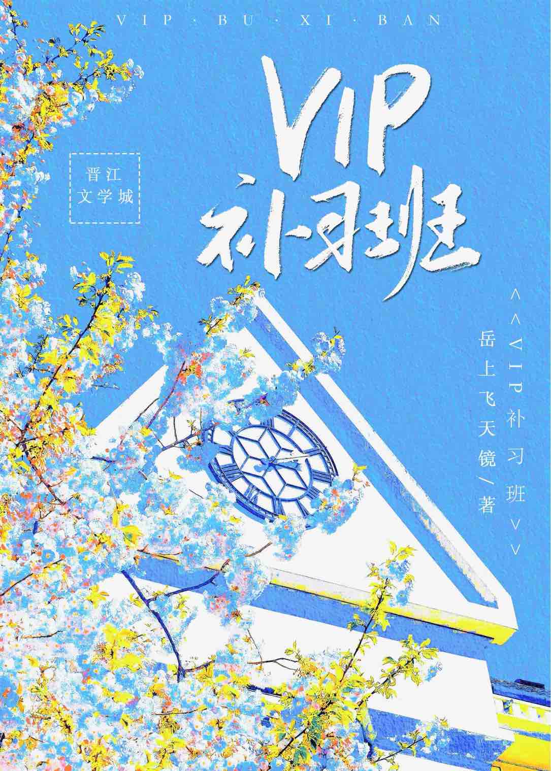 vip班和普通班哪个好