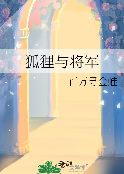 狐狸将军 小说
