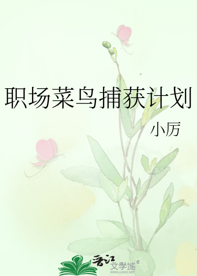职场菜鸟捕获计划怎么写