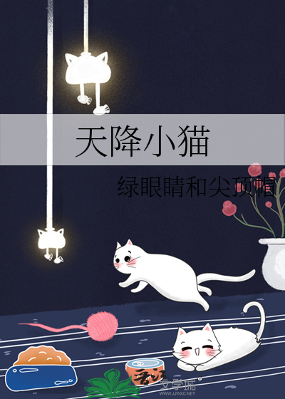 天降小猫女友电视剧免费观看