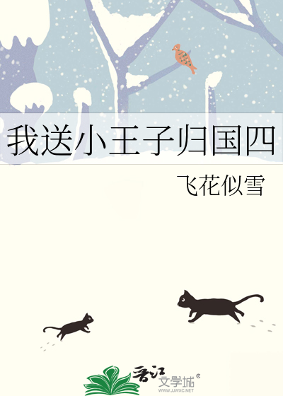 我送小王子归国四是哪一集