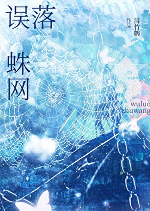 开封奇谈之小公子和先生