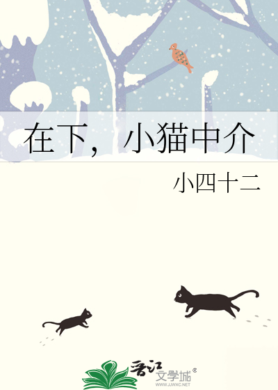 在小猫小猫