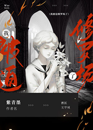 黑豆蔻晋级录